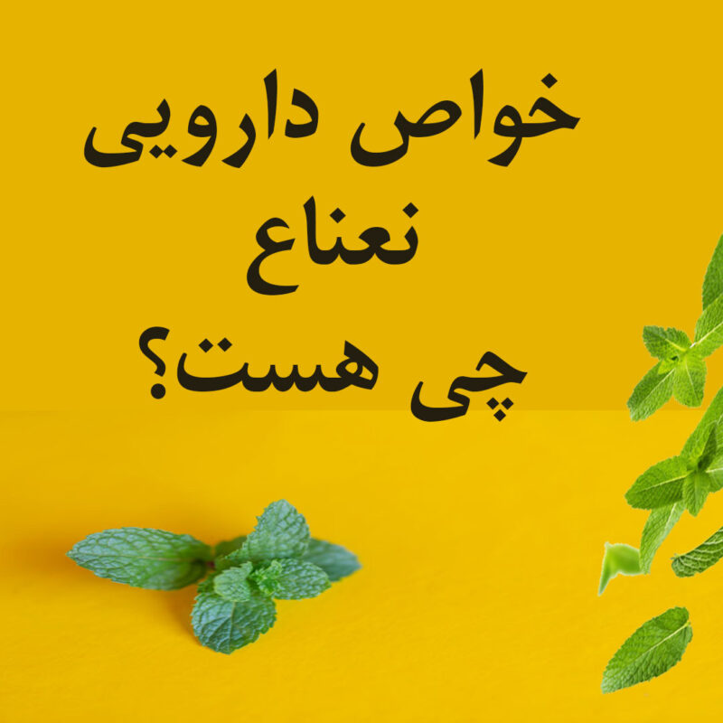 خواص نعناع