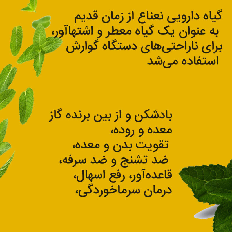 خواص گیاه دارویی نعناع