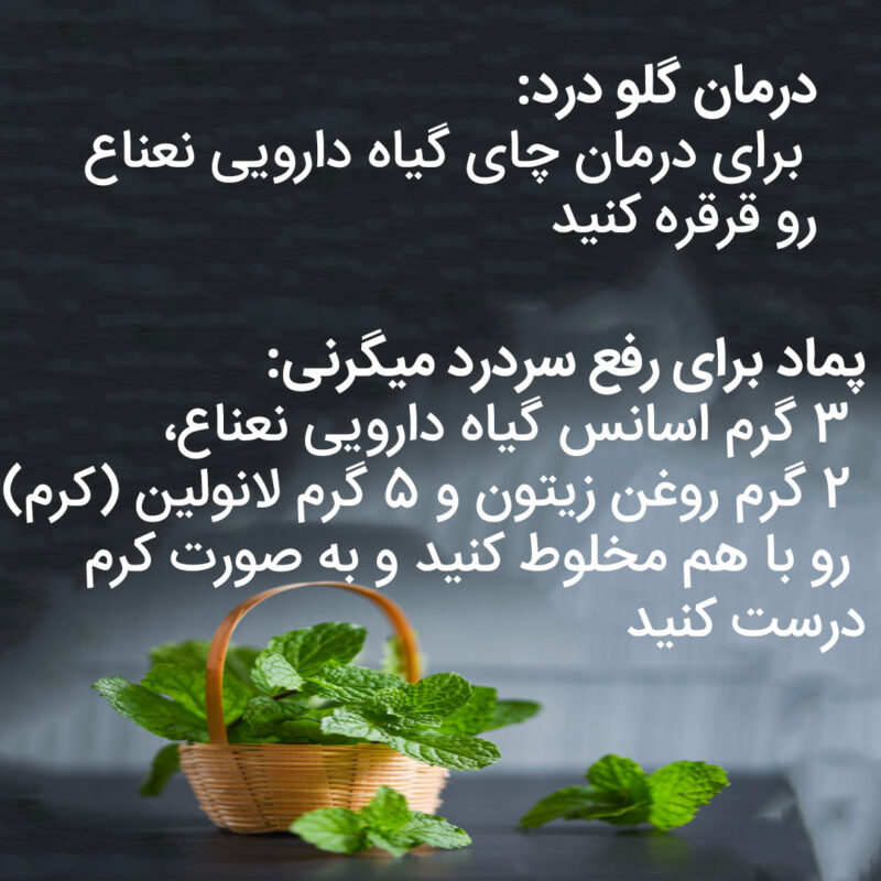خواص نعناع خشک دم کرده