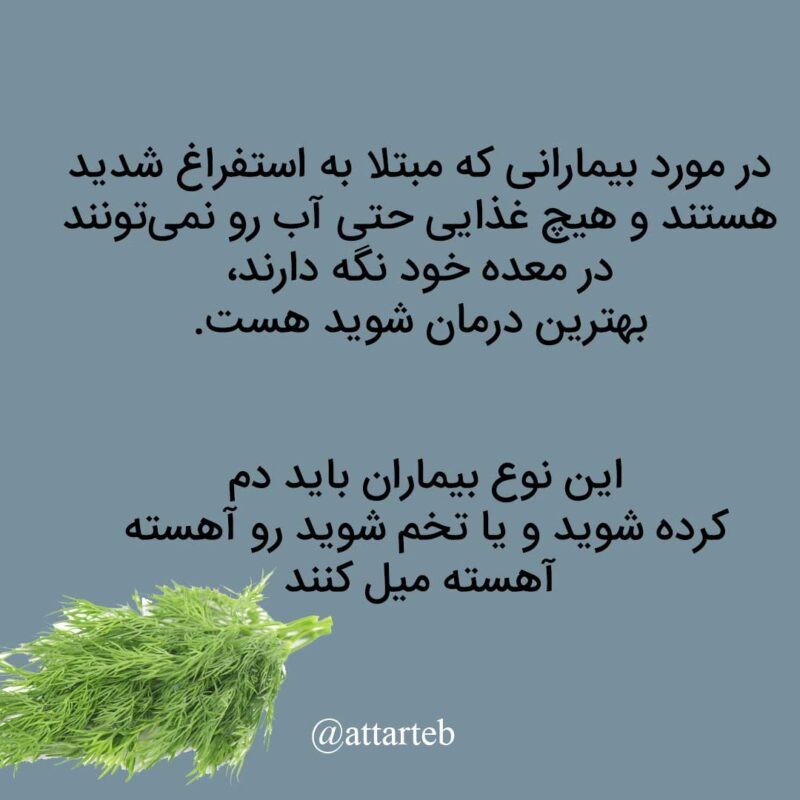 دم کرده شوید برای استفراغ