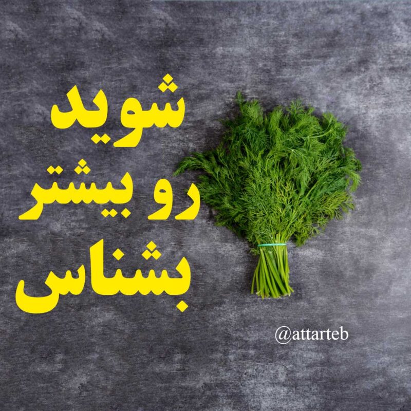 خواص شوید در طب سنتی