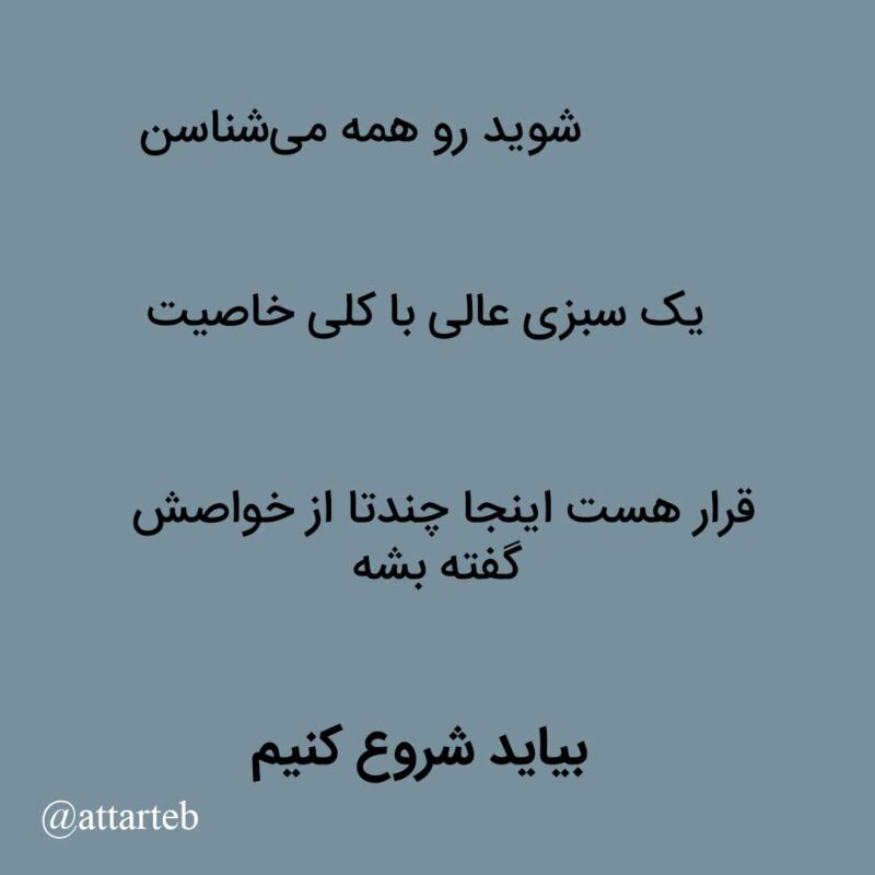 فواید شوید در طب سنتی