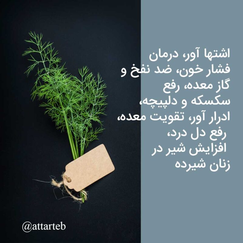 خواص شوید