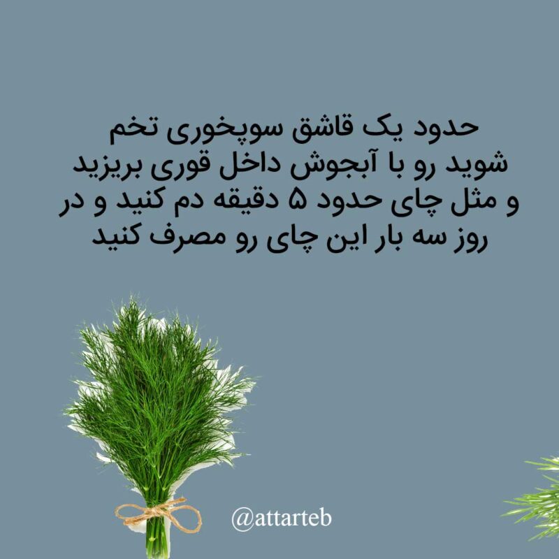 تخم شوید برای لاغری