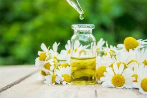 روغن بابونه شفای کردستان